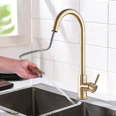 OEM de Tapkraan Corrosiebestendige Slijtvaste Zuurvast van de Roestvrij staalkeuken
